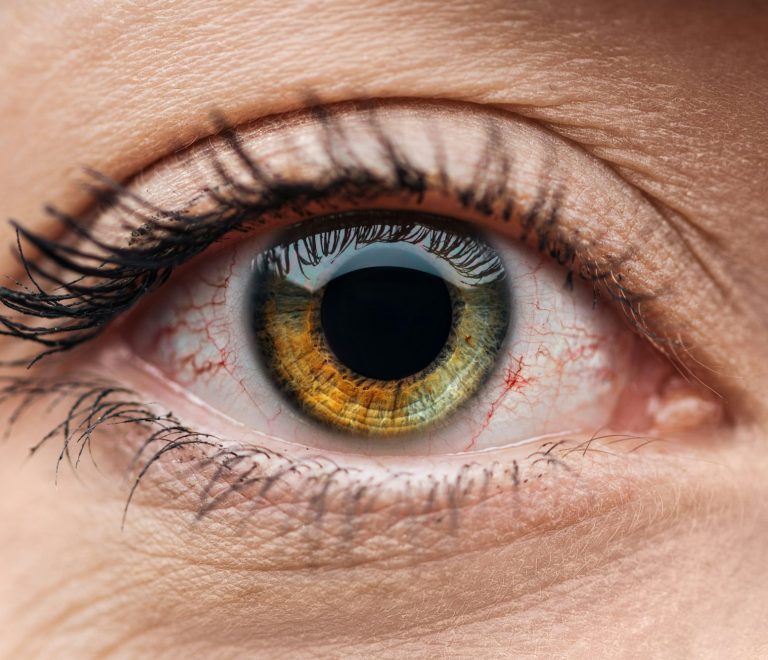 close up view of human brown and green colorful eye with eyelashes